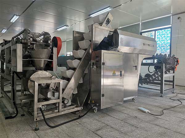 米線濕粉條包裝機(jī)，鮮濕粉專用